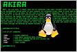 Linux version of Akira ransomware targets VMware ESXi server